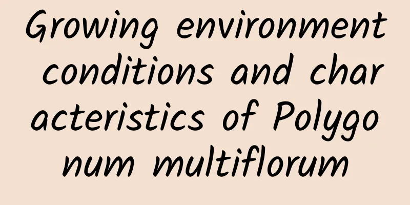 Growing environment conditions and characteristics of Polygonum multiflorum