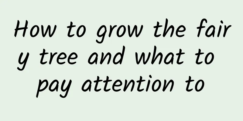 How to grow the fairy tree and what to pay attention to