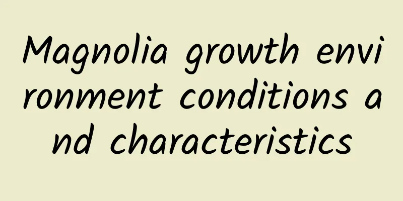 Magnolia growth environment conditions and characteristics