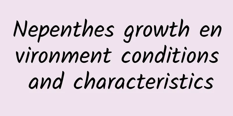 Nepenthes growth environment conditions and characteristics