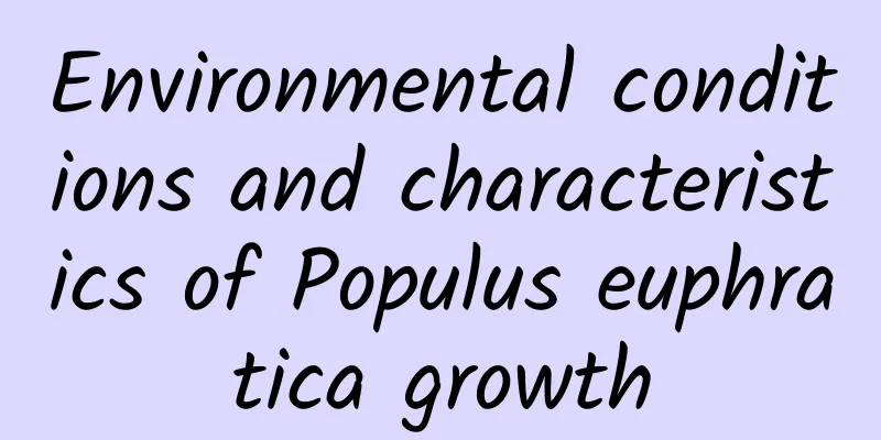 Environmental conditions and characteristics of Populus euphratica growth