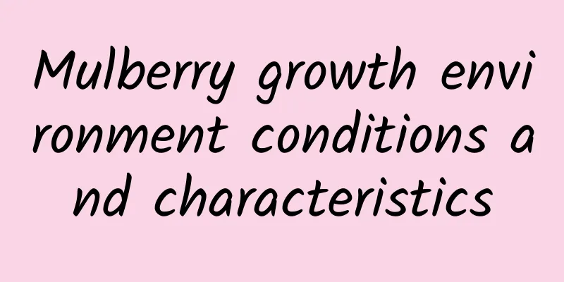 Mulberry growth environment conditions and characteristics
