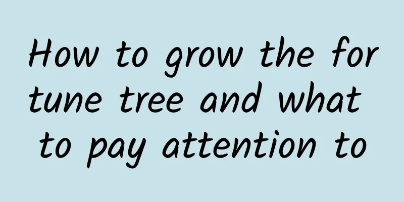 How to grow the fortune tree and what to pay attention to