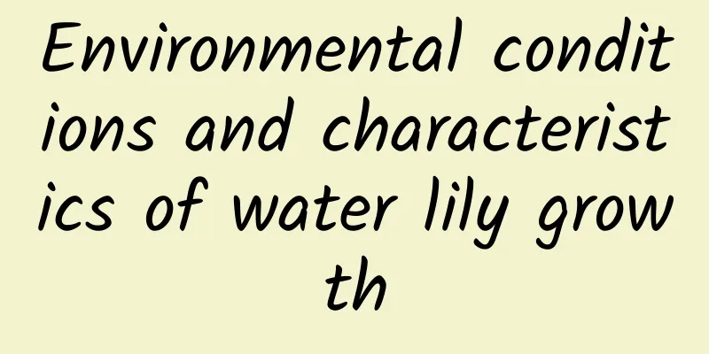 Environmental conditions and characteristics of water lily growth