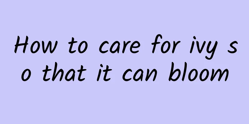 How to care for ivy so that it can bloom
