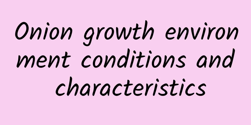 Onion growth environment conditions and characteristics