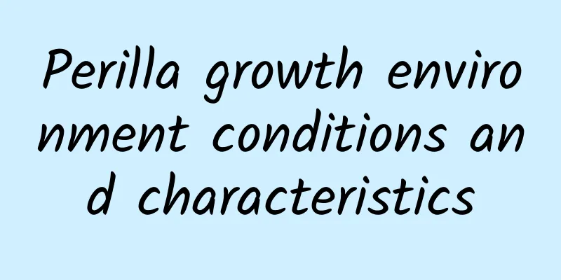 Perilla growth environment conditions and characteristics