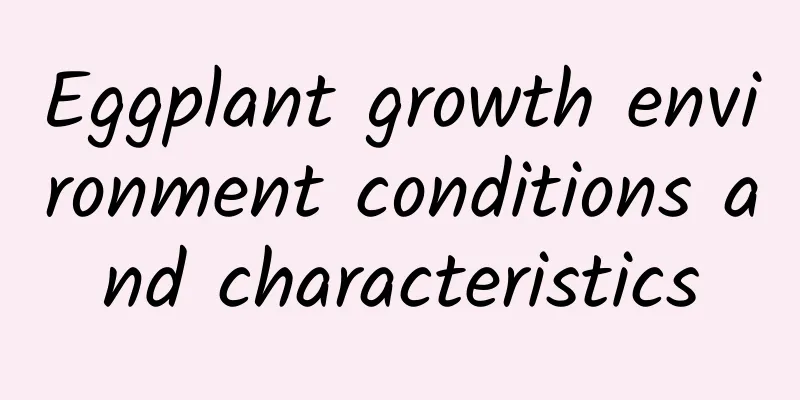 Eggplant growth environment conditions and characteristics