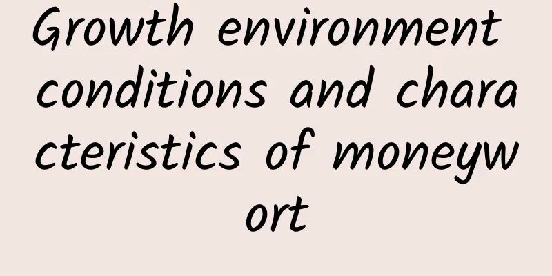 Growth environment conditions and characteristics of moneywort