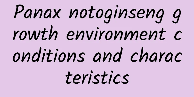 Panax notoginseng growth environment conditions and characteristics
