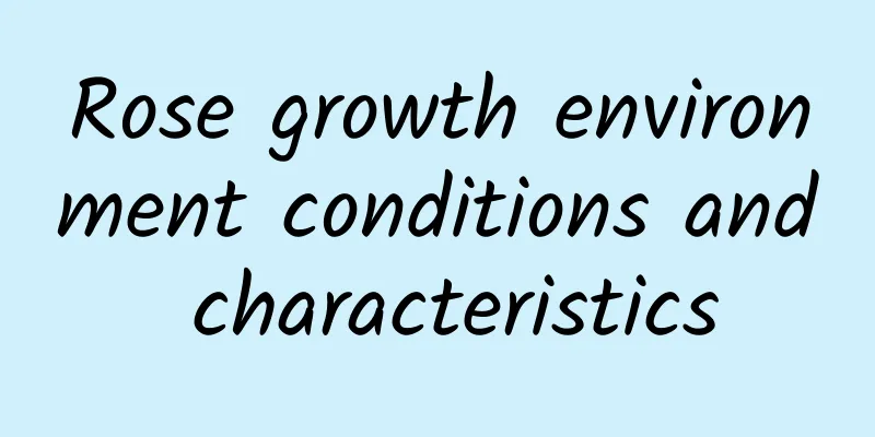 Rose growth environment conditions and characteristics