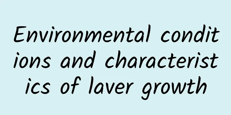 Environmental conditions and characteristics of laver growth