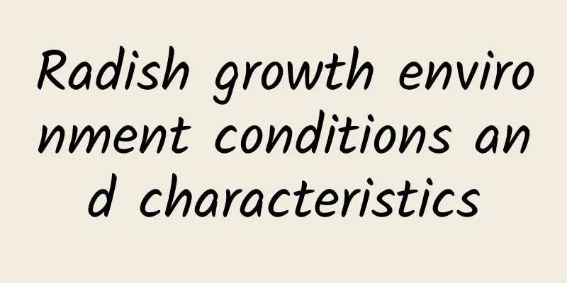 Radish growth environment conditions and characteristics