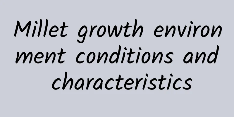 Millet growth environment conditions and characteristics