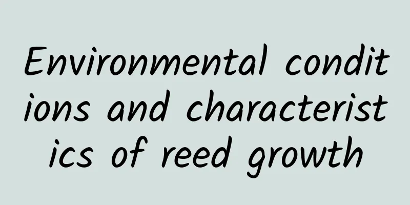 Environmental conditions and characteristics of reed growth