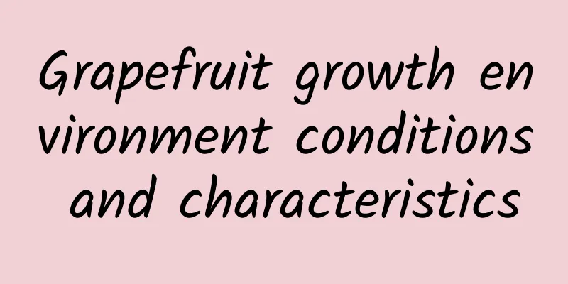 Grapefruit growth environment conditions and characteristics