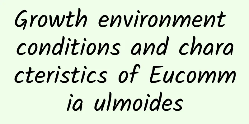 Growth environment conditions and characteristics of Eucommia ulmoides