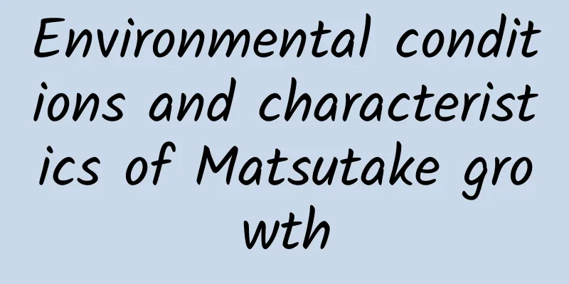 Environmental conditions and characteristics of Matsutake growth