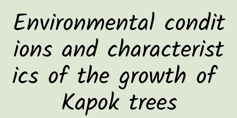 Environmental conditions and characteristics of the growth of Kapok trees