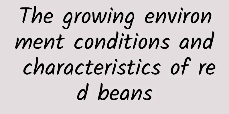 The growing environment conditions and characteristics of red beans