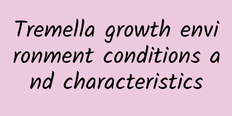 Tremella growth environment conditions and characteristics