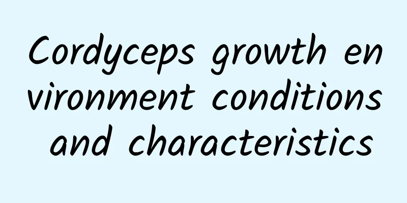 Cordyceps growth environment conditions and characteristics