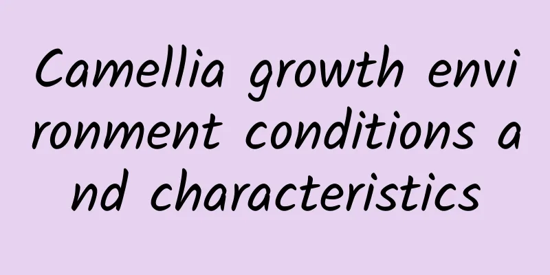Camellia growth environment conditions and characteristics