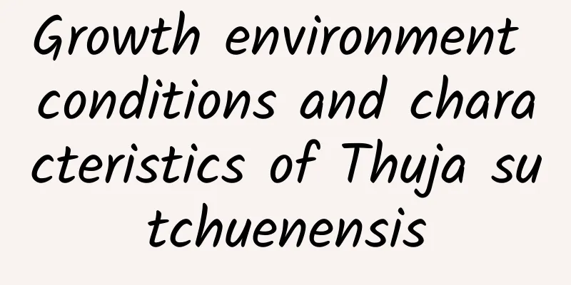 Growth environment conditions and characteristics of Thuja sutchuenensis