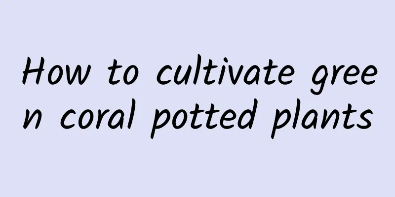 How to cultivate green coral potted plants