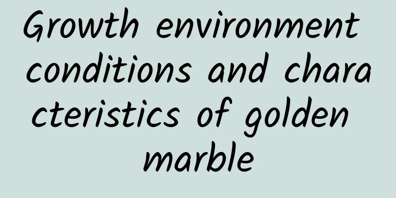 Growth environment conditions and characteristics of golden marble