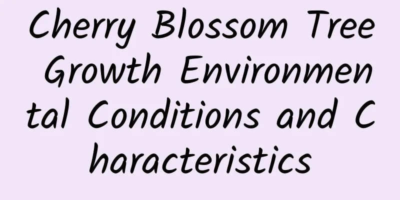 Cherry Blossom Tree Growth Environmental Conditions and Characteristics