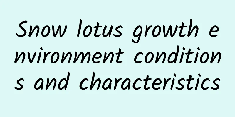 Snow lotus growth environment conditions and characteristics