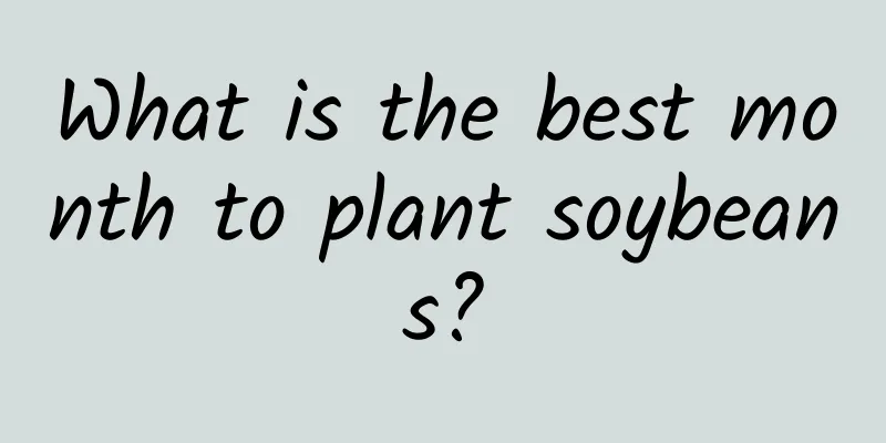 What is the best month to plant soybeans?