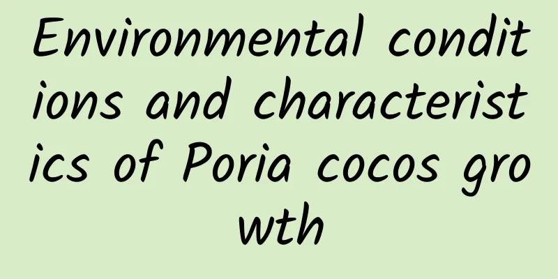 Environmental conditions and characteristics of Poria cocos growth