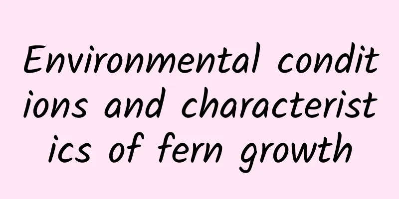 Environmental conditions and characteristics of fern growth