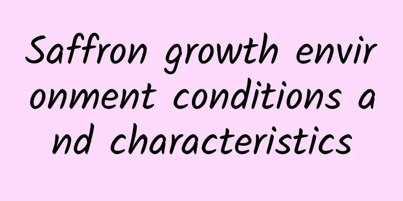 Saffron growth environment conditions and characteristics
