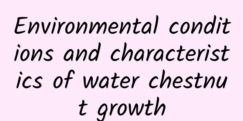 Environmental conditions and characteristics of water chestnut growth