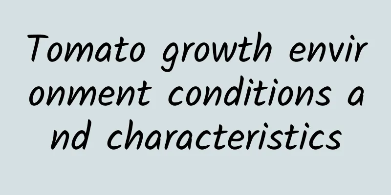 Tomato growth environment conditions and characteristics