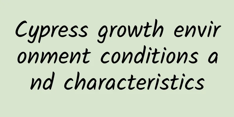 Cypress growth environment conditions and characteristics
