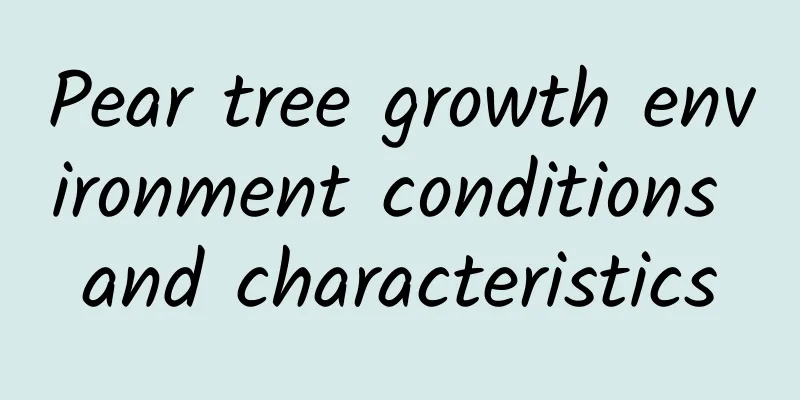 Pear tree growth environment conditions and characteristics