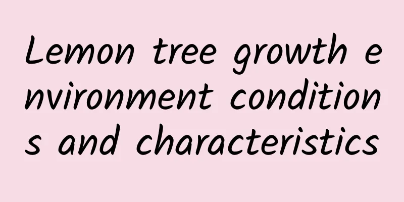 Lemon tree growth environment conditions and characteristics