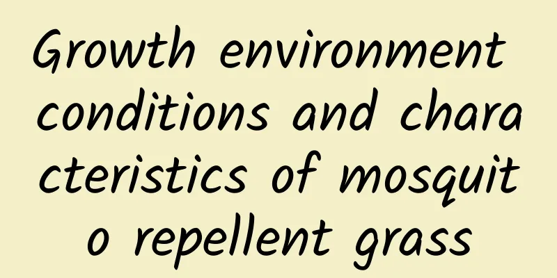Growth environment conditions and characteristics of mosquito repellent grass