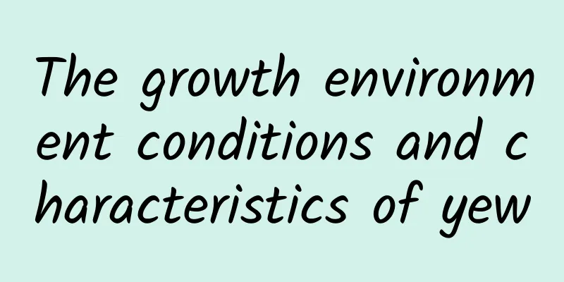 The growth environment conditions and characteristics of yew