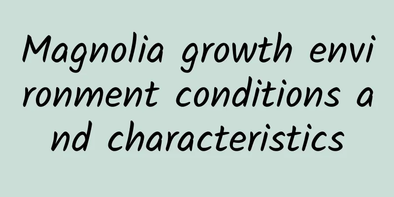 Magnolia growth environment conditions and characteristics