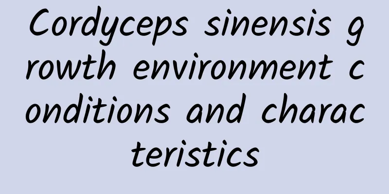 Cordyceps sinensis growth environment conditions and characteristics