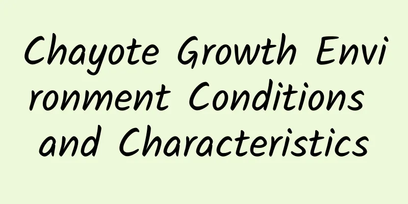 Chayote Growth Environment Conditions and Characteristics