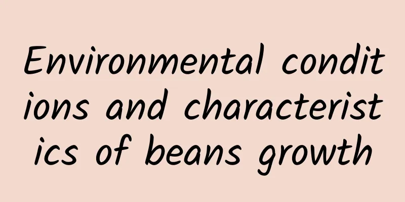 Environmental conditions and characteristics of beans growth