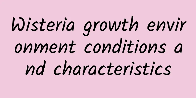 Wisteria growth environment conditions and characteristics