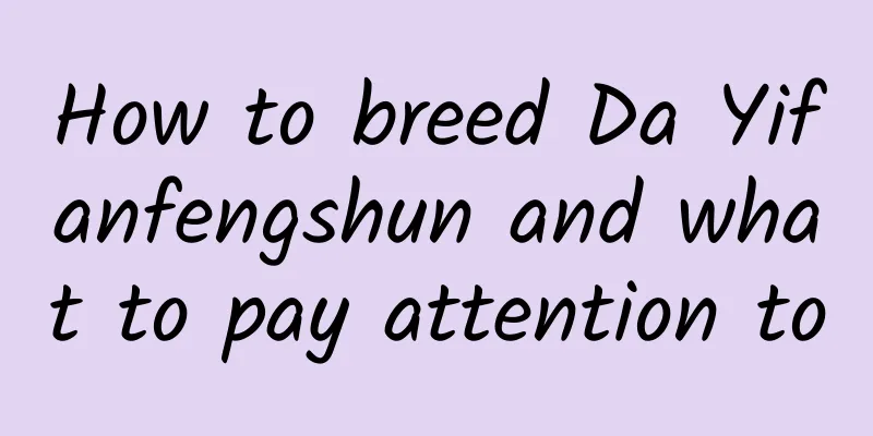 How to breed Da Yifanfengshun and what to pay attention to