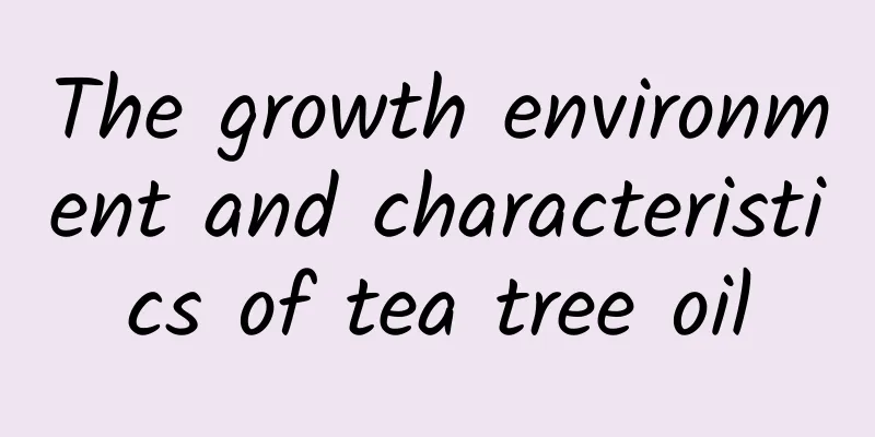 The growth environment and characteristics of tea tree oil